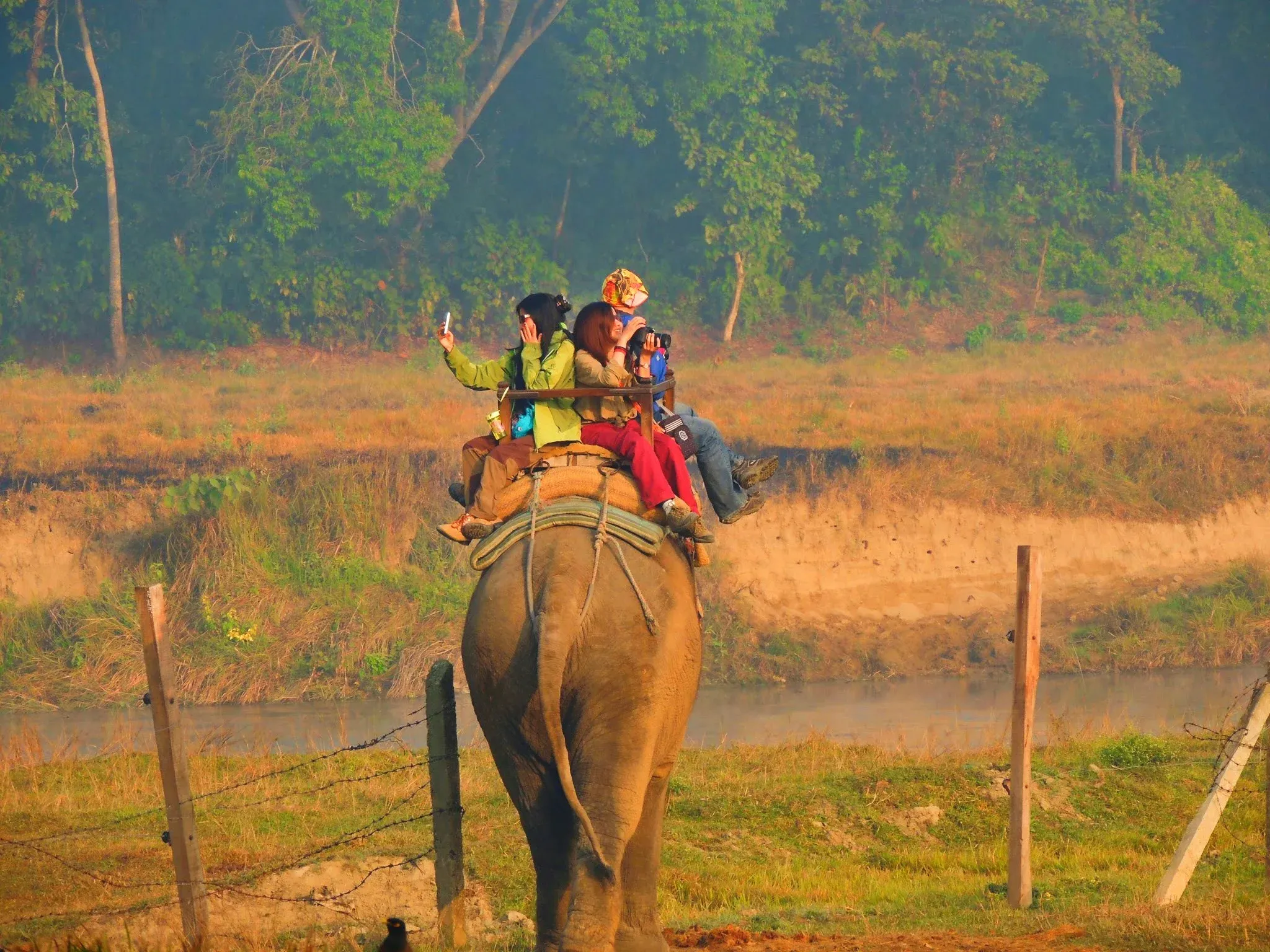 Chitwan National Park (Chitwan)