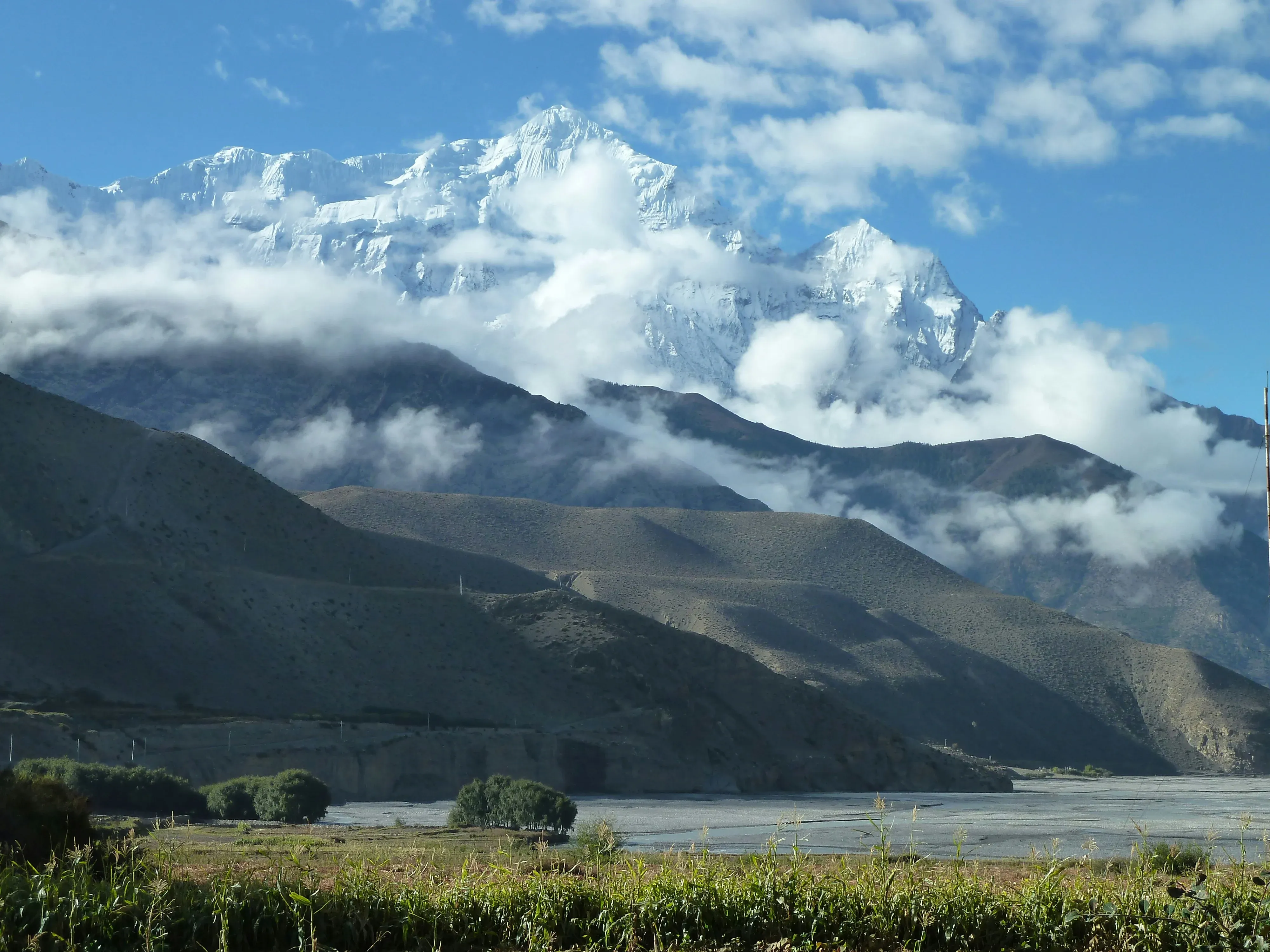 Mustang – The Forbidden Kingdom