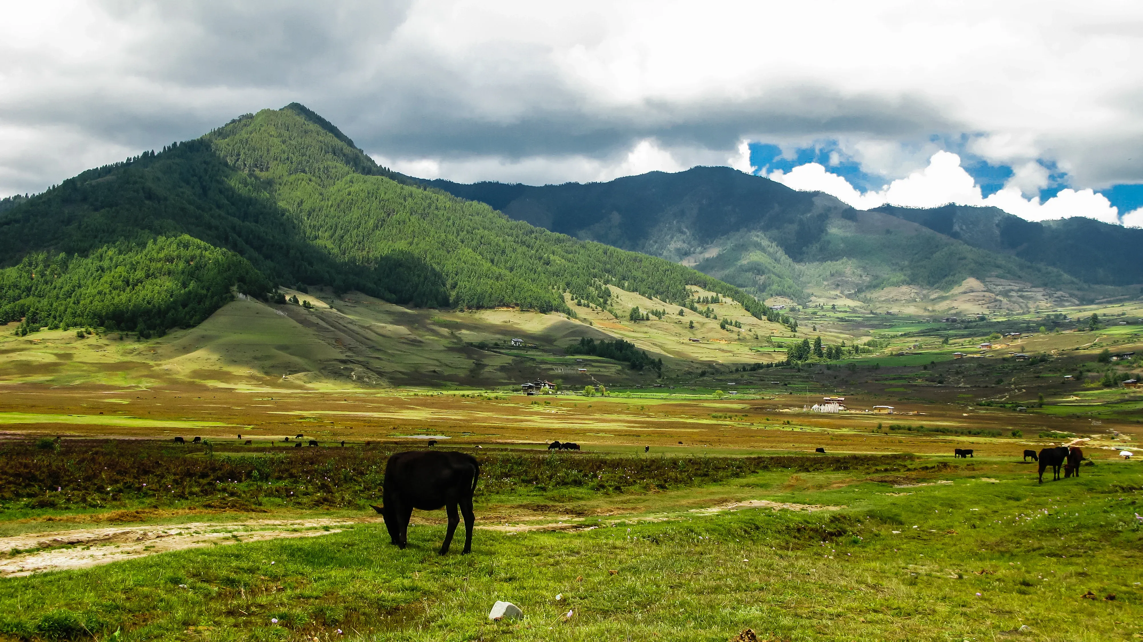 Phobjikha Valley – The Valley of Black-Necked Cranes