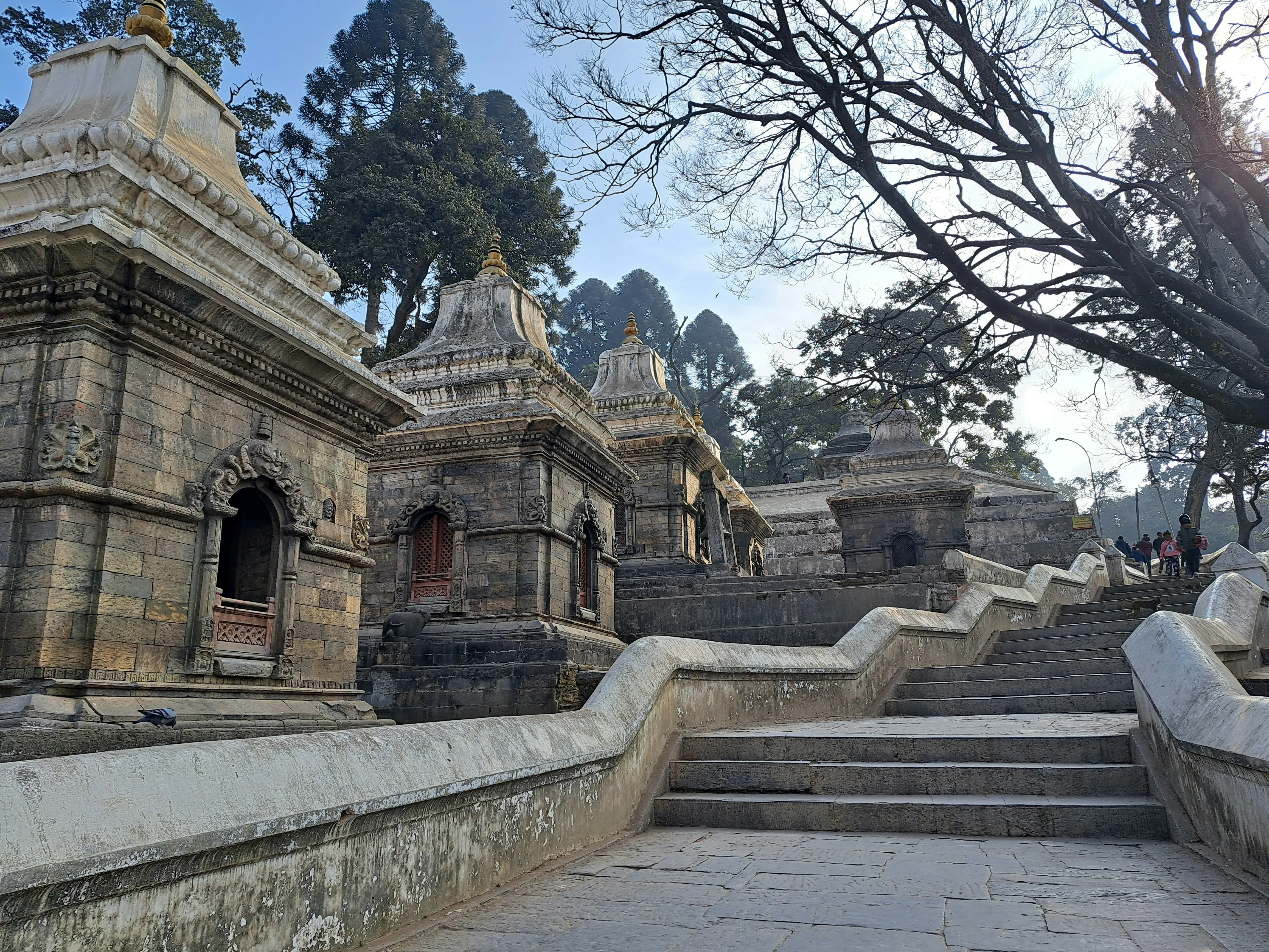 Pashupatinath Temple (Kathmandu)